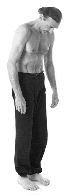 Иллюстрация к книге — Йога. Лучшие комплексы. Профилактика свыше 100 заболеваний Уцененный товар (№1) [i_071.jpg]