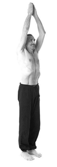 Иллюстрация к книге — Йога. Лучшие комплексы. Профилактика свыше 100 заболеваний Уцененный товар (№1) [i_073.jpg]