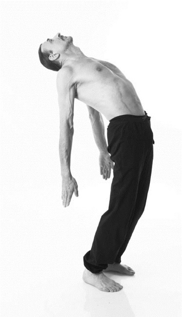 Иллюстрация к книге — Йога. Лучшие комплексы. Профилактика свыше 100 заболеваний Уцененный товар (№1) [i_119.jpg]