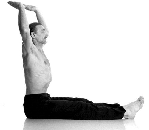 Иллюстрация к книге — Йога. Лучшие комплексы. Профилактика свыше 100 заболеваний Уцененный товар (№1) [i_148.jpg]