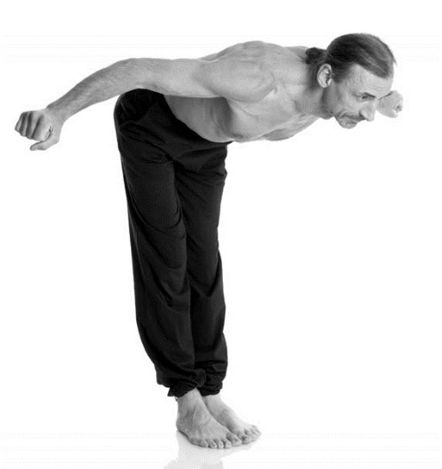 Иллюстрация к книге — Йога. Лучшие комплексы. Профилактика свыше 100 заболеваний Уцененный товар (№1) [i_159.jpg]