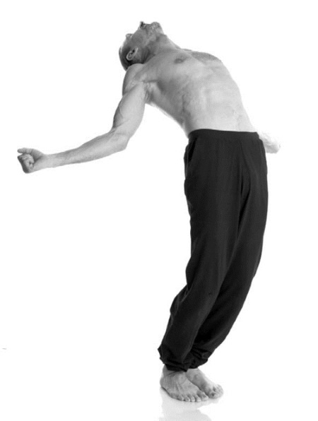 Иллюстрация к книге — Йога. Лучшие комплексы. Профилактика свыше 100 заболеваний Уцененный товар (№1) [i_160.jpg]