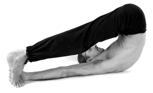 Иллюстрация к книге — Йога. Лучшие комплексы. Профилактика свыше 100 заболеваний Уцененный товар (№1) [i_180.jpg]