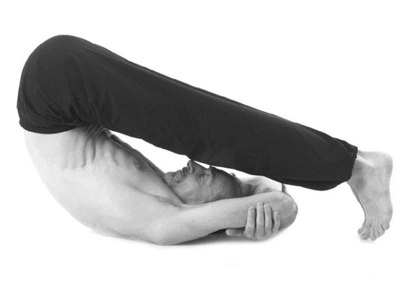 Иллюстрация к книге — Йога. Лучшие комплексы. Профилактика свыше 100 заболеваний Уцененный товар (№1) [i_183.jpg]