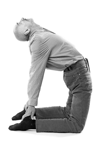 Иллюстрация к книге — Йога. Лучшие комплексы. Профилактика свыше 100 заболеваний Уцененный товар (№1) [i_217.jpg]