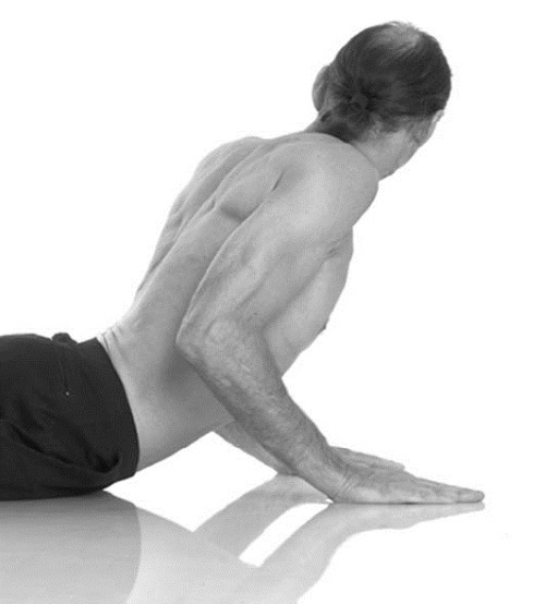 Иллюстрация к книге — Йога. Лучшие комплексы. Профилактика свыше 100 заболеваний Уцененный товар (№1) [i_282.jpg]