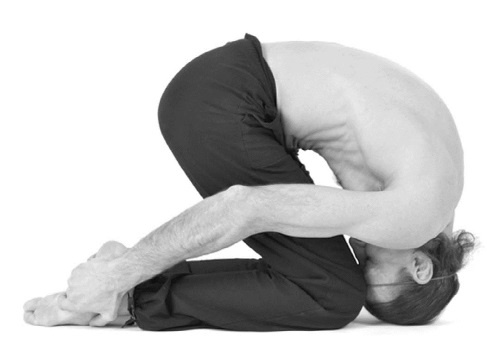 Иллюстрация к книге — Йога. Лучшие комплексы. Профилактика свыше 100 заболеваний Уцененный товар (№1) [i_285.jpg]