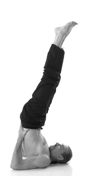 Иллюстрация к книге — Йога. Лучшие комплексы. Профилактика свыше 100 заболеваний Уцененный товар (№1) [i_291.jpg]