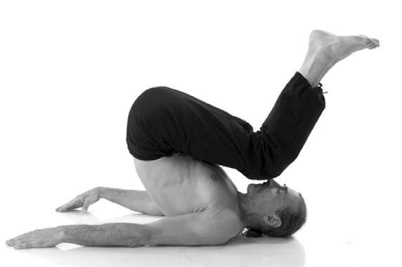 Иллюстрация к книге — Йога. Лучшие комплексы. Профилактика свыше 100 заболеваний Уцененный товар (№1) [i_292.jpg]