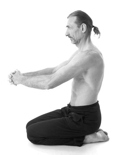 Иллюстрация к книге — Йога. Лучшие комплексы. Профилактика свыше 100 заболеваний Уцененный товар (№1) [i_296.jpg]