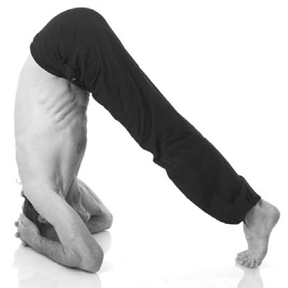 Иллюстрация к книге — Йога. Лучшие комплексы. Профилактика свыше 100 заболеваний Уцененный товар (№1) [i_298.jpg]