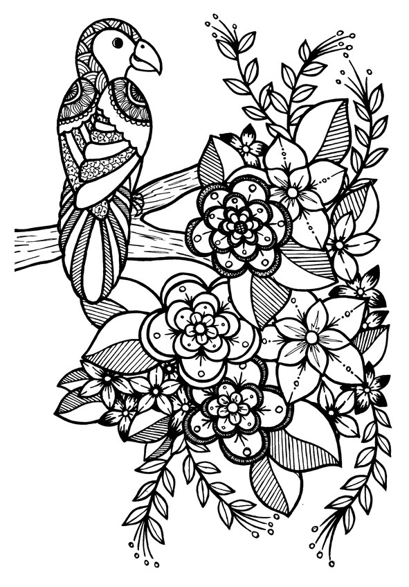 Иллюстрация к книге — Секреты Лучезарной женщины [image37_561c293bb1b2240e4648f9d4_jpg.jpg]