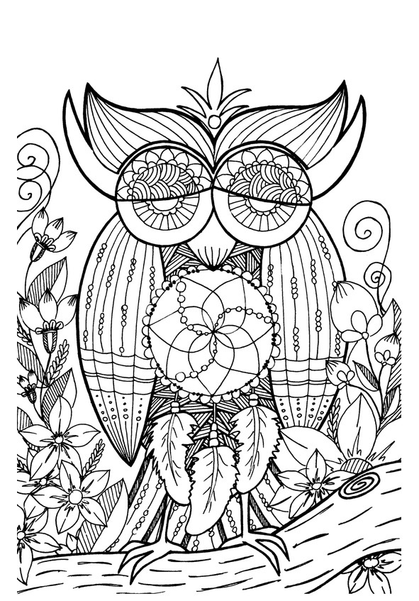 Иллюстрация к книге — Секреты Лучезарной женщины [image65_561c2973b1b2240e4648f9dc_jpg.jpg]