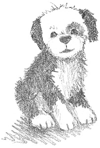 Иллюстрация к книге — Щенок Макс, или Выбери меня! [i_005.jpg]