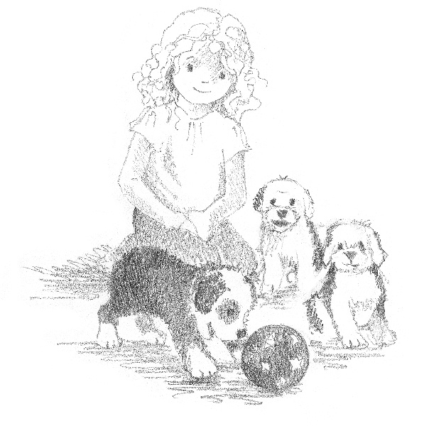 Иллюстрация к книге — Щенок Макс, или Выбери меня! [i_029.jpg]