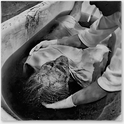 Иллюстрация к книге — 47 [i_004.jpg]