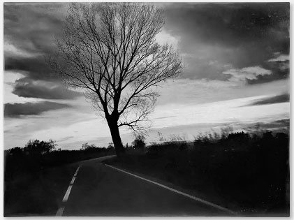 Иллюстрация к книге — 47 [i_005.jpg]