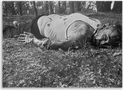 Иллюстрация к книге — 47 [i_012.jpg]