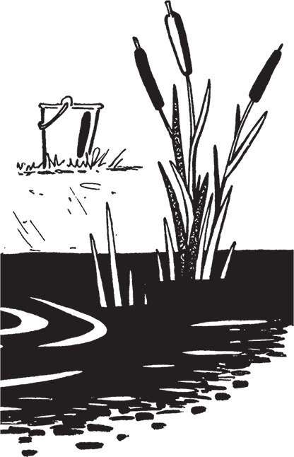 Иллюстрация к книге — Самая полезная настольная книга садовода и огородника [i_012.jpg]