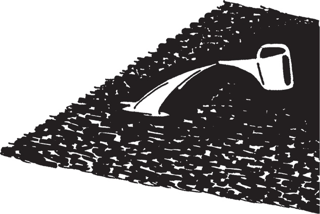 Иллюстрация к книге — Самая полезная настольная книга садовода и огородника [i_015.jpg]