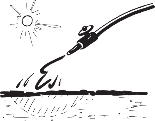 Иллюстрация к книге — Самая полезная настольная книга садовода и огородника [i_050.jpg]