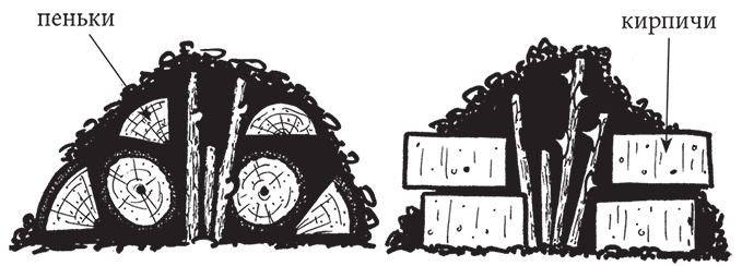 Иллюстрация к книге — Самая полезная настольная книга садовода и огородника [i_069.jpg]