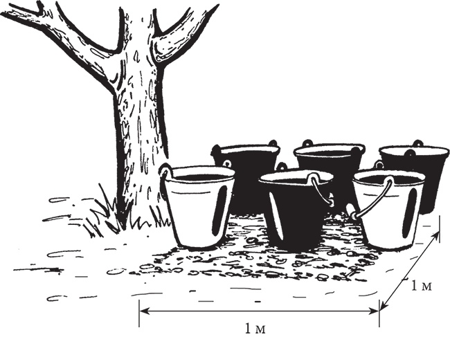 Иллюстрация к книге — Самая полезная настольная книга садовода и огородника [i_076.jpg]