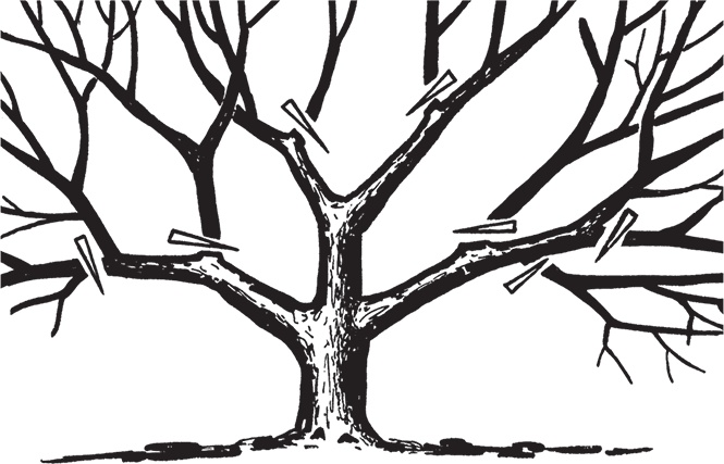 Иллюстрация к книге — Самая полезная настольная книга садовода и огородника [i_082.jpg]