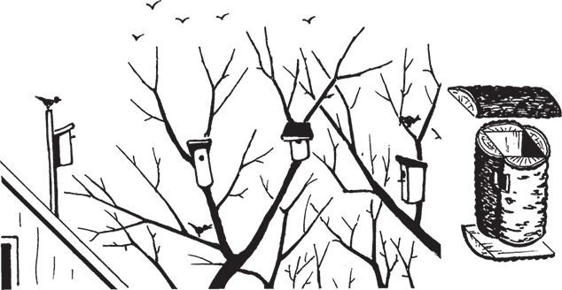 Иллюстрация к книге — Самая полезная настольная книга садовода и огородника [i_089.jpg]