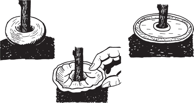 Иллюстрация к книге — Самая полезная настольная книга садовода и огородника [i_097.jpg]