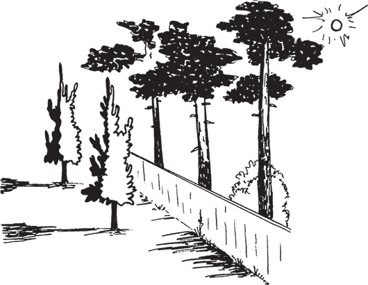 Иллюстрация к книге — Самая полезная настольная книга садовода и огородника [i_098.jpg]