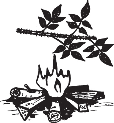 Иллюстрация к книге — Самая полезная настольная книга садовода и огородника [i_122.jpg]