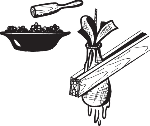 Иллюстрация к книге — Самая полезная настольная книга садовода и огородника [i_126.jpg]