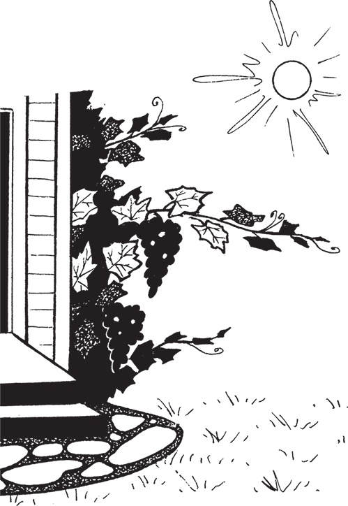 Иллюстрация к книге — Самая полезная настольная книга садовода и огородника [i_129.jpg]