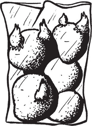 Иллюстрация к книге — Самая полезная настольная книга садовода и огородника [i_140.jpg]