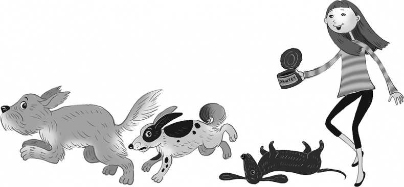 Иллюстрация к книге — Бунт пупсиков [i_023.jpg]