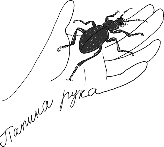 Иллюстрация к книге — Бунт пупсиков [i_030.jpg]