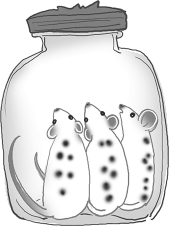 Иллюстрация к книге — Бунт пупсиков [i_054.jpg]