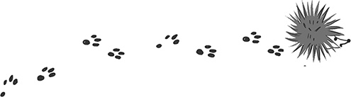 Иллюстрация к книге — Бунт пупсиков [i_055.jpg]