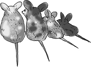 Иллюстрация к книге — Таинственный Ктототам [i_058.jpg]