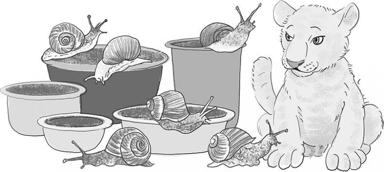 Иллюстрация к книге — Таинственный Ктототам [i_073.jpg]