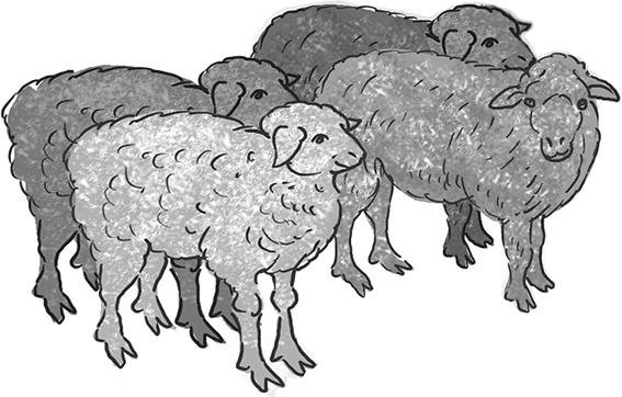 Иллюстрация к книге — Таинственный Ктототам [i_093.jpg]