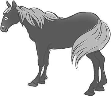 Иллюстрация к книге — Таинственный Ктототам [i_103.jpg]