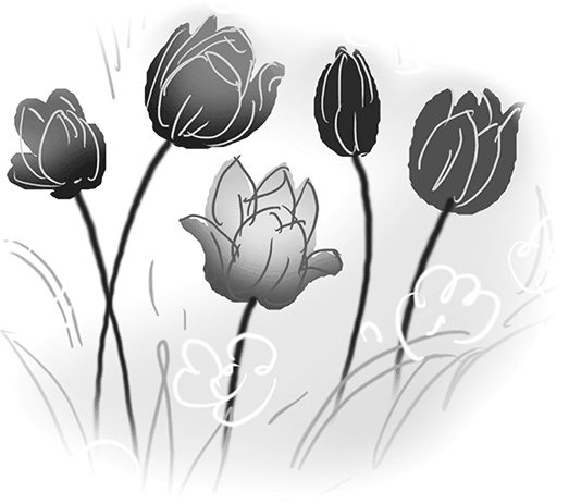 Иллюстрация к книге — Таинственный Ктототам [i_105.jpg]