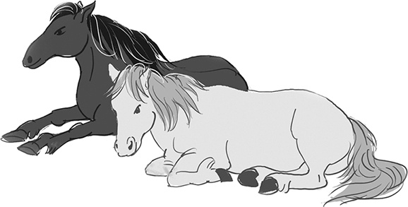 Иллюстрация к книге — Таинственный Ктототам [i_106.jpg]