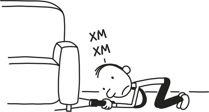 Иллюстрация к книге — Дневник слабака. Родрик рулит [i_140.jpg]