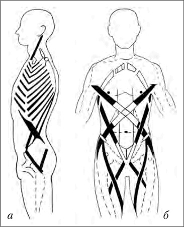 Иллюстрация к книге — Двигательная активность и здоровье. От лечебной гимнастики до паркура [i_005.jpg]