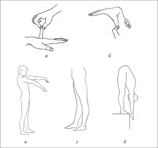 Иллюстрация к книге — Двигательная активность и здоровье. От лечебной гимнастики до паркура [i_010.jpg]