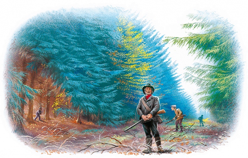 Иллюстрация к книге — Маруся - подружка всех зверят. В лесу. В деревне [i_017.jpg]