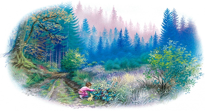 Иллюстрация к книге — Маруся - подружка всех зверят. В лесу. В деревне [i_022.jpg]